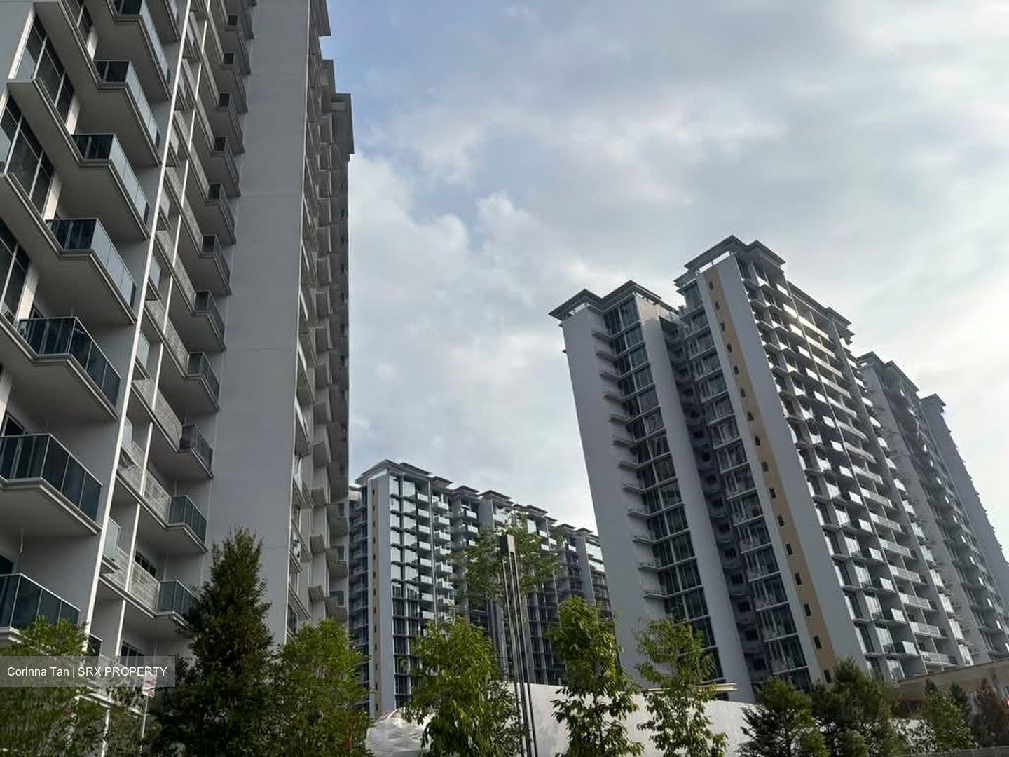 Dunman Road (D15), Condominium #606811171